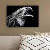 Adelaar - Portret - Roofvogels - Zwart - Wit - Vogel canvas 2cm klein -sfeer3