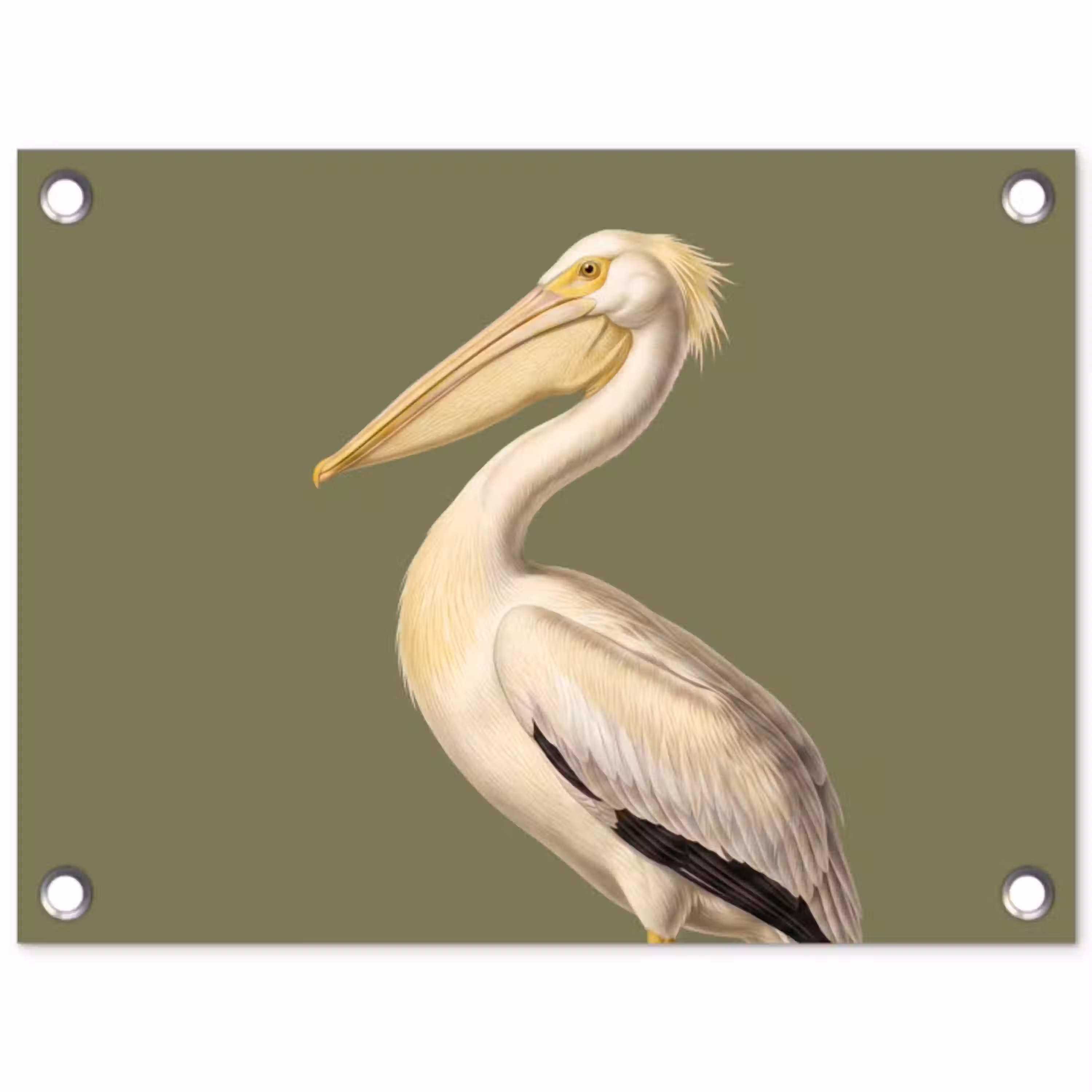 Pelikaan - Wit - Vogel - Klassiek - Natuur tuinposter los doek klein -3d