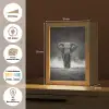 Olifant - Zwart - Wit - Rook Light Box met kabel (Tafellamp) klein -USP_websiteoverzichtDE
