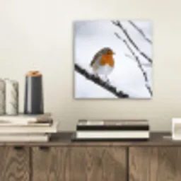 Roodborstje - Tak - Sneeuw - Winter - Levendig aluminium wit klein -sfeer1