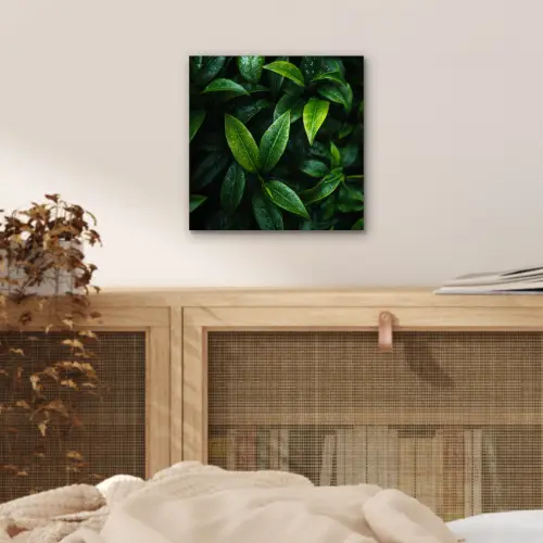 Bladeren - Regendruppels - Licht - Groen aluminium wit klein -sfeer3