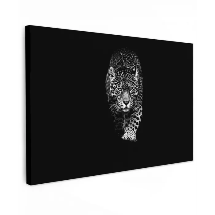 Dieren - Zwart - Luipaard - Wit - Wild canvas 2cm klein -z3d