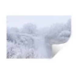Rivier - Sneeuw - Bos - Winter - Schilderachtig Muursticker klein -3d