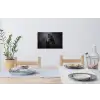 Portret - Paard - Zwart Muursticker klein -eettafel