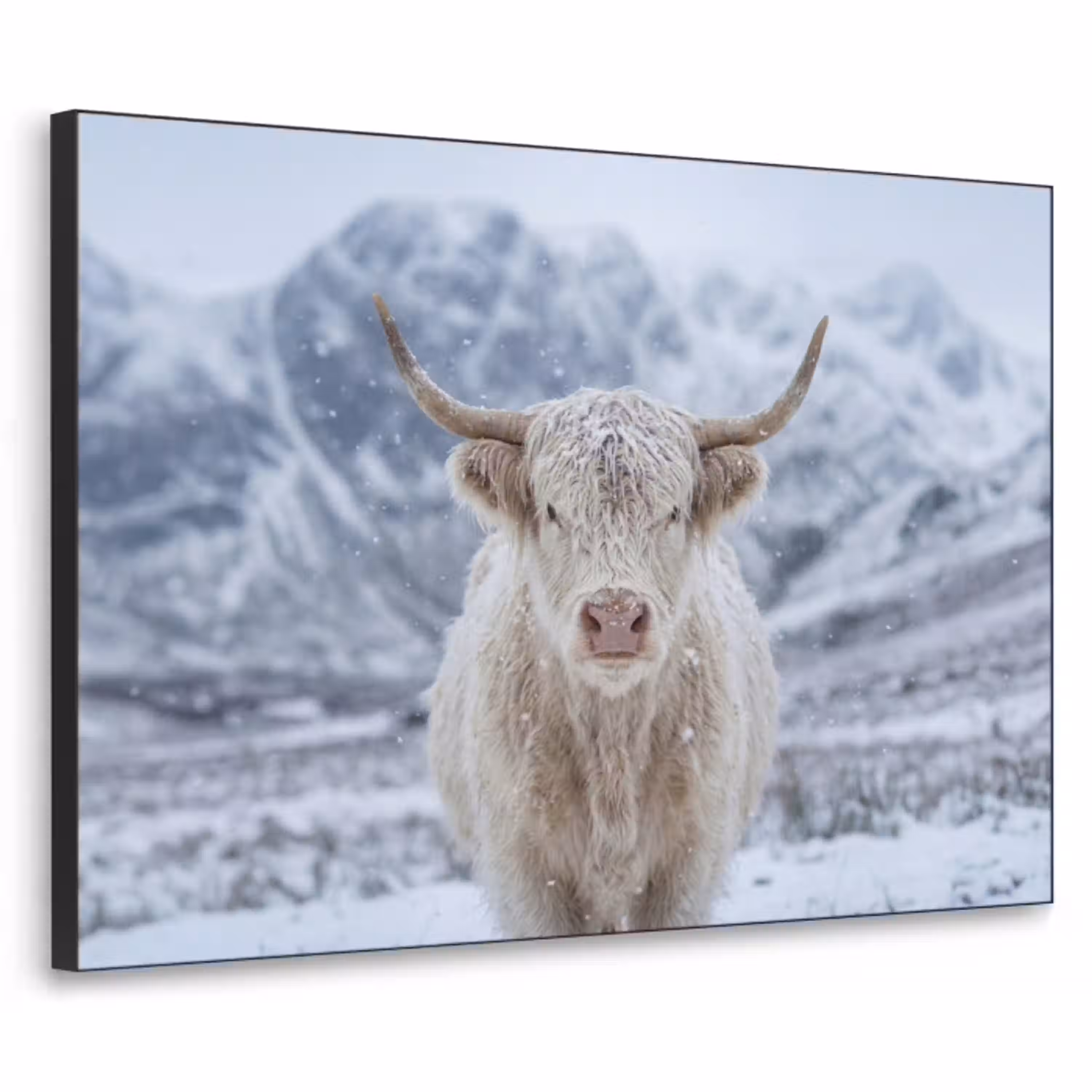 Schotse Hooglander - Sneeuw - Bergen - Winter Textielframe zwart klein -3d