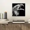 Adelaar - Portret - Roofvogels - Zwart - Wit - Vogel aluminium wit klein -sfeer1
