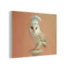 Kerkuil - Koksmuts - Oranje - Vogel PET vilt klein -3d
