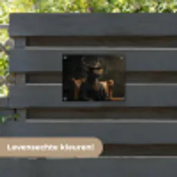 Hert - Zonnebril - Zwart - Pak tuinposter los doek klein -sfeer3
