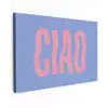 Ciao - Roze - Blauw - Golvend Tuinposter op houten frame 2 cm dik klein -3d
