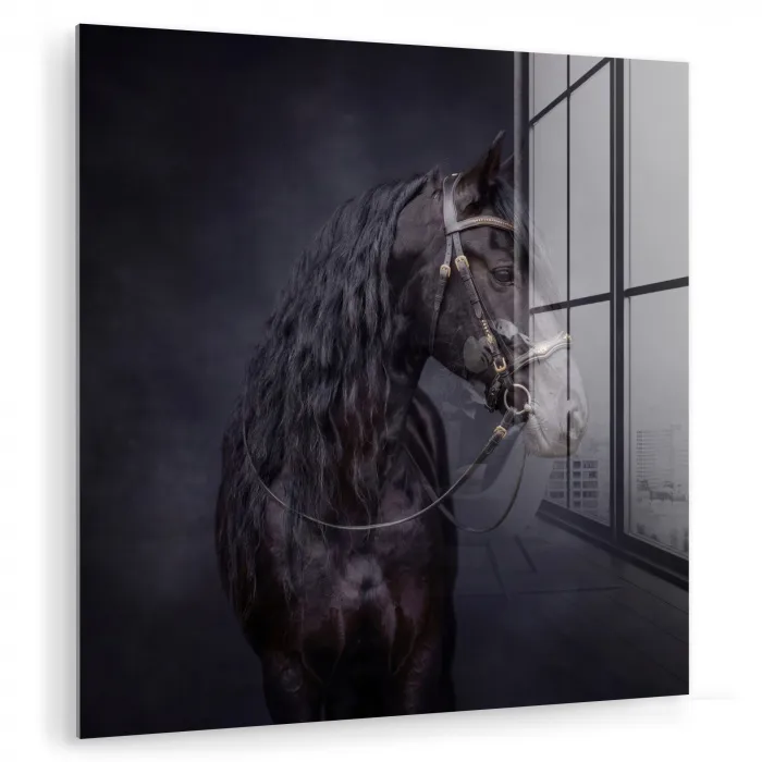 Portret - Paard - Donker plexiglas 5mm klein -zzzproduct_nieuw