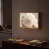 Schelp - Detail - Beige Light Box met batterij (Wandlamp) middel -sfeer1