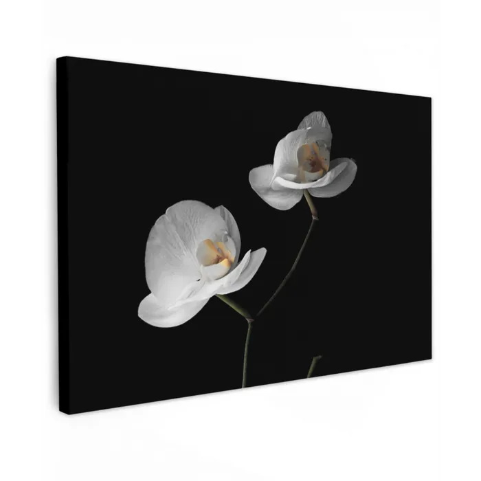 Orchidee - Bloemen - Zwart - Wit - Stilleven canvas 2cm klein -z3d
