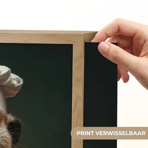 Dier - Kok - Stokstaartje Light Box met batterij (Wandlamp) middel -USP_websiteprintNL