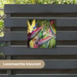 Kleurrijke vogel tussen allemaal kleurrijke platen tuinposter los doek klein -sfeer3
