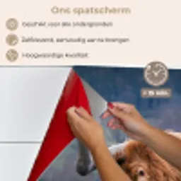Schotse Hooglander - Koeienkop - Landschap - Natuur - Koe keuken achterwand spatscherm klein -spatscherm_NL