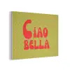 Ciao bella - Rood - Groen - Stippen PET vilt klein -3d