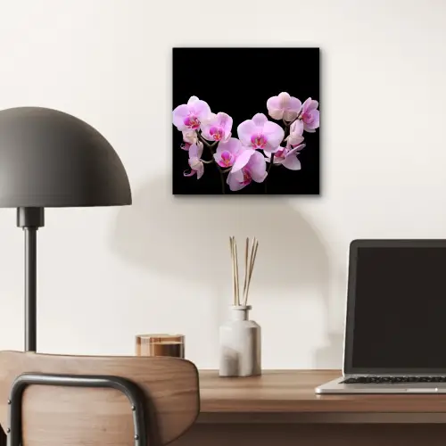 Orchidee - Bloemen - Roze - Flora aluminium wit klein -sfeer5