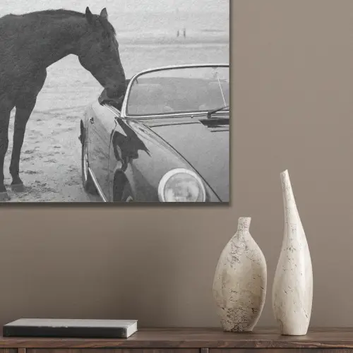 Paard - Auto - Zwart - Wit PET vilt klein -sfeer6_closeup