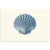 Ribbels - Blauw - Schelp poster papier klein -3d