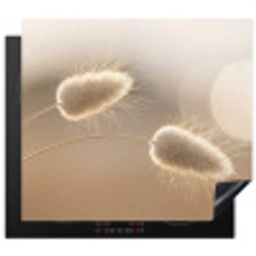 Hazestaartgras - Graanharen - Zonlicht Inductie beschermer vinyl 3mm middel -3d