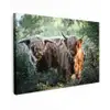 Schotse Hooglanders - Bos - Dieren canvas 2cm klein -z3d
