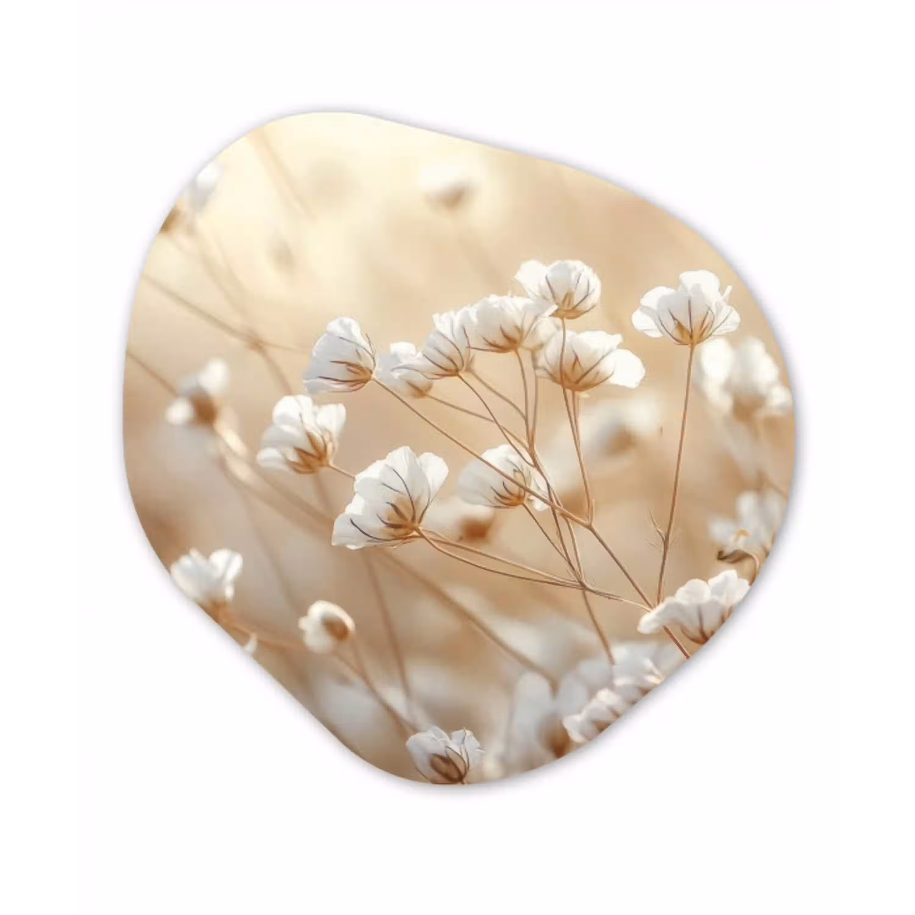 Wilde - Bloemen - Wit Wandcirkel Organisch Plexiglas middel -3d
