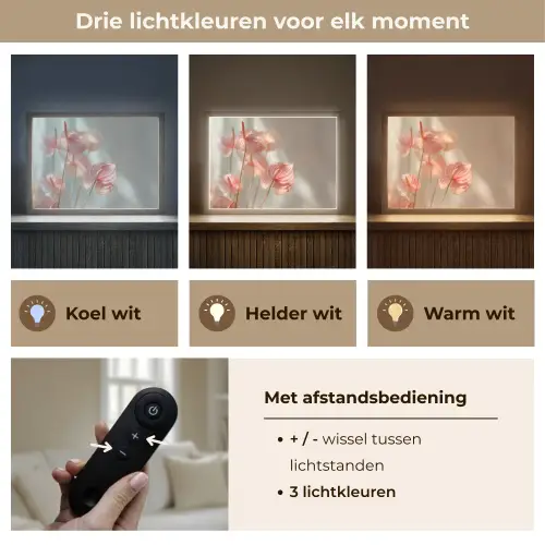 Bloemen - Stelen - Roze - Schaduw Light Box met batterij (Wandlamp) middel -USP_lichtkleurNL