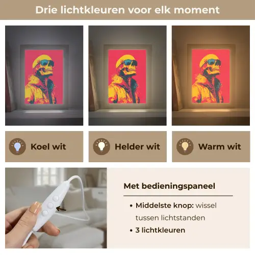 Zonnebril - Schedel - Jas - Rood Light Box met kabel (Tafellamp) klein -USP_lichtkleurNL