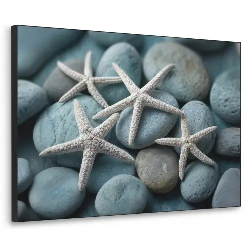 Zeesterren - Stenen - Wit Textielframe zwart klein -3d