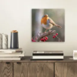 Roodborst - Tak - Bessen - Natuur aluminium wit klein -sfeer1