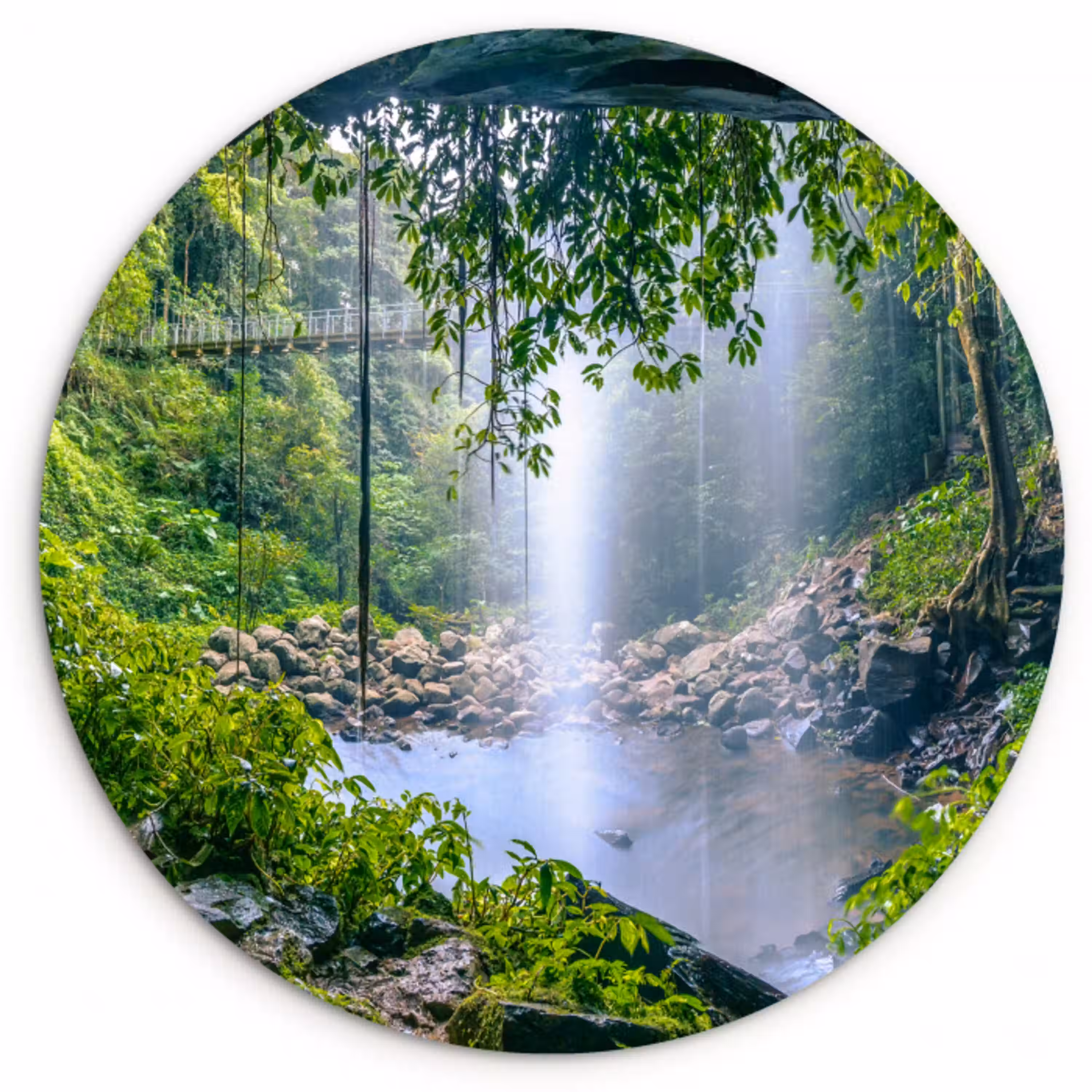 Jungle - Regenwoud - Water - Waterval - Planten Wandcirkel kunststof plaat 5mm dik klein -3d
