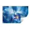 Blauw - Orchidee - Elegeant Muursticker klein -3d