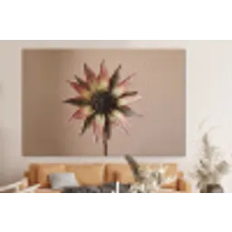 Droogbloem - Protea - Vintage - Beige - Rustiek forex 5mm xxl -bovenbank