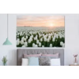 Tulpen - Landschap - Wit forex 5mm xxl -slaapkamer