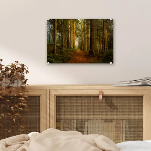 Bos - Natuur - Bomen - Landschap - Bladeren plexiglas 5mm klein -sfeer4