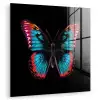 Vlinder - Kleuren - Dier - Zwart plexiglas 5mm klein -zzzproduct_nieuw