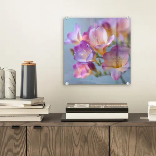 Bloemen - Paars - Overloop - Meeldraden plexiglas 5mm klein -sfeer1