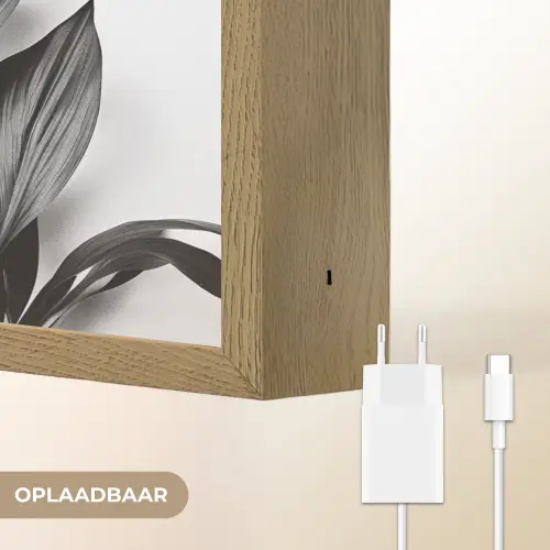Plant - Bladeren - Minimalistisch - Zwart Light Box met batterij (Wandlamp) middel -USP_websiteoplaadbaarNL