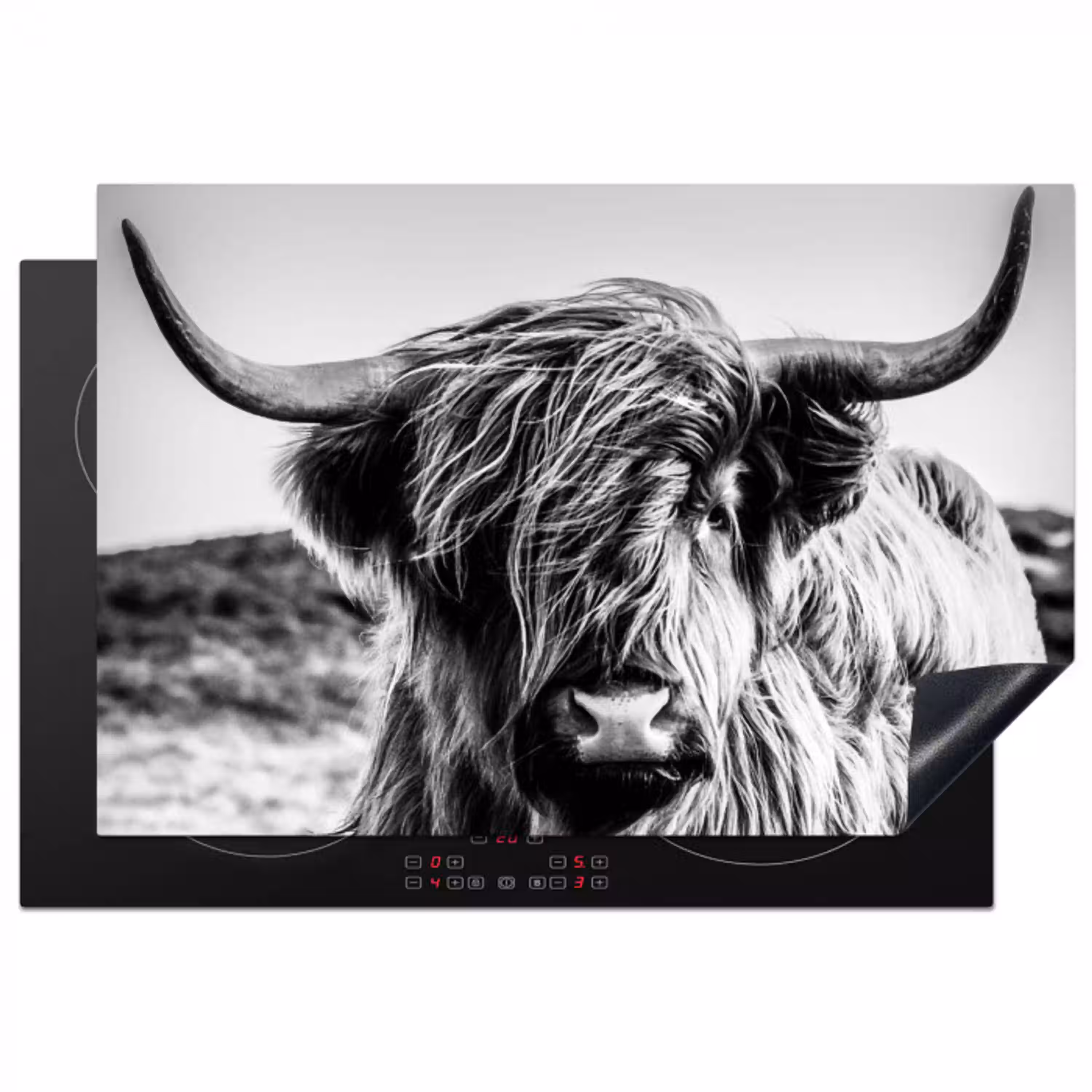 Koe - Schotse hooglander - Zwart - Wit - Dier - Natuur - Wild Inductie beschermer vinyl 3mm klein -3d