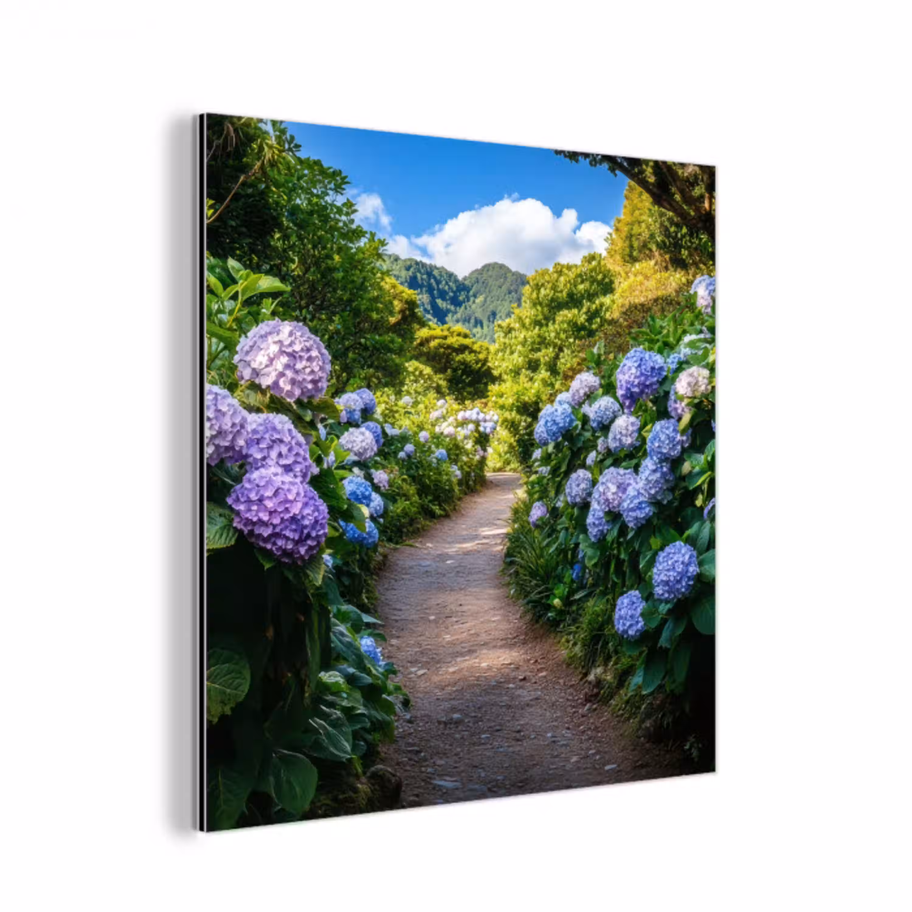 Hortsensia - Pad - Bloemen aluminium wit klein -3d