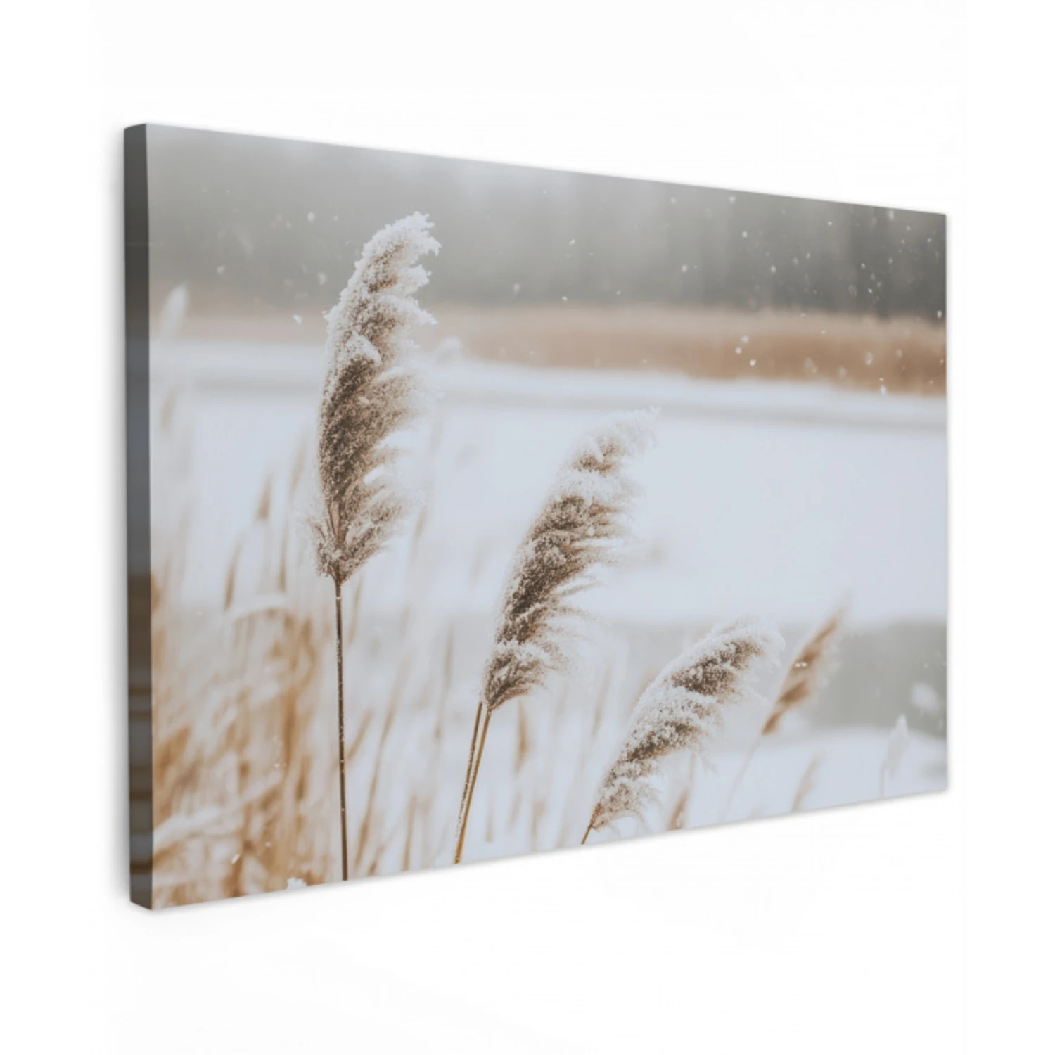 Riet - Meer - Winter - Natuur - Sneeuw - Beige Tuinposter op houten frame 2 cm dik klein -3d