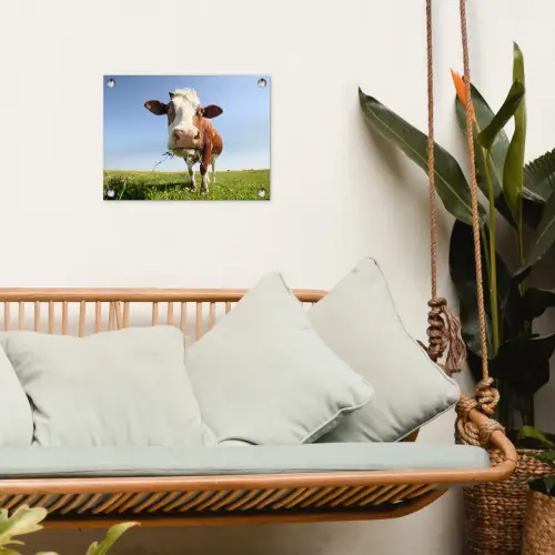 Koe in de Weide tuinposter los doek klein -sfeer7