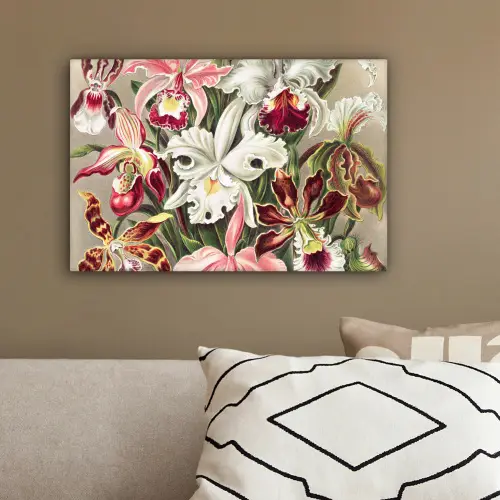 Bloemen - Ernst Haeckel - Vintage - Orchidee canvas 2cm klein -sfeer3
