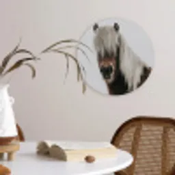 Paarden - Dieren - Portret - Bruin - Wit Wandcirkel kunststof plaat 5mm dik klein -sfeer4