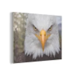 Amerikaans - Zeearend - Portret - Geel PET vilt klein -3d