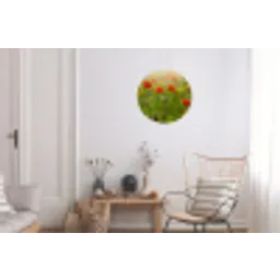Lente - Bloemen - Rood - Klaproos - Gras - Groen Wandcirkel aluminium klein -woonkamer