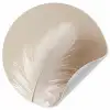 Veer - Minimalistisch - Roze Wandcirkel behangsticker klein -3d
