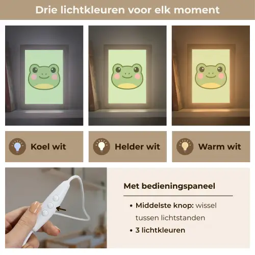 Kikker - Groen - Vriendelijkheid Light Box met kabel klein -USP_lichtkleurNL