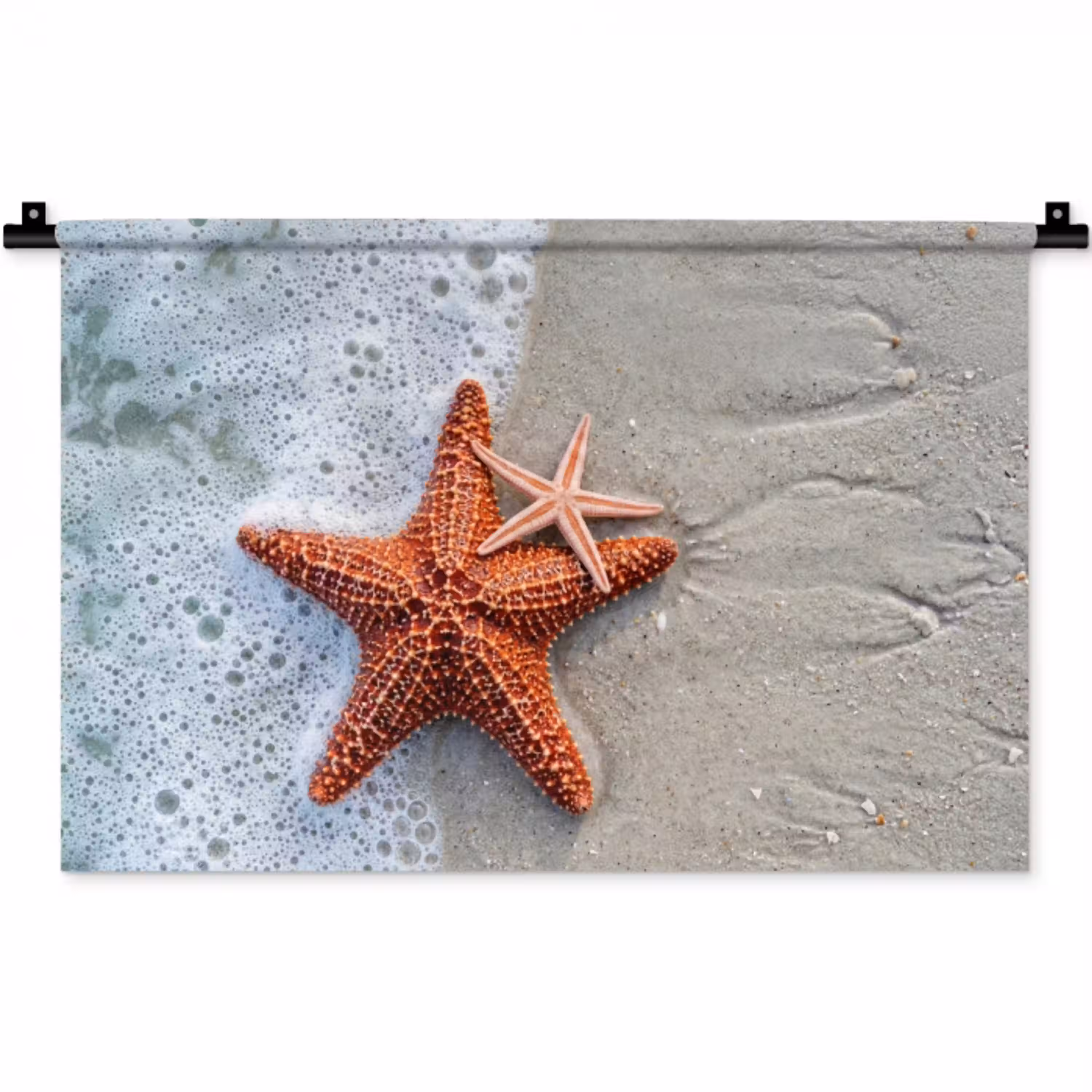 Zeester - Strand - Zee Wandkleed katoen klein -zz3d