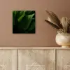 Bladeren - Schaduw - Groen - Textuur aluminium wit klein -sfeer4